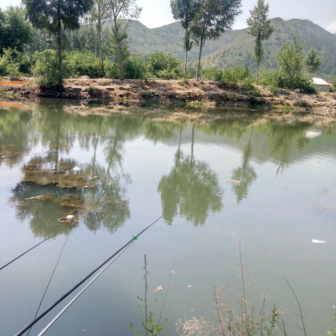 用户776979950567唱歌爱乐器