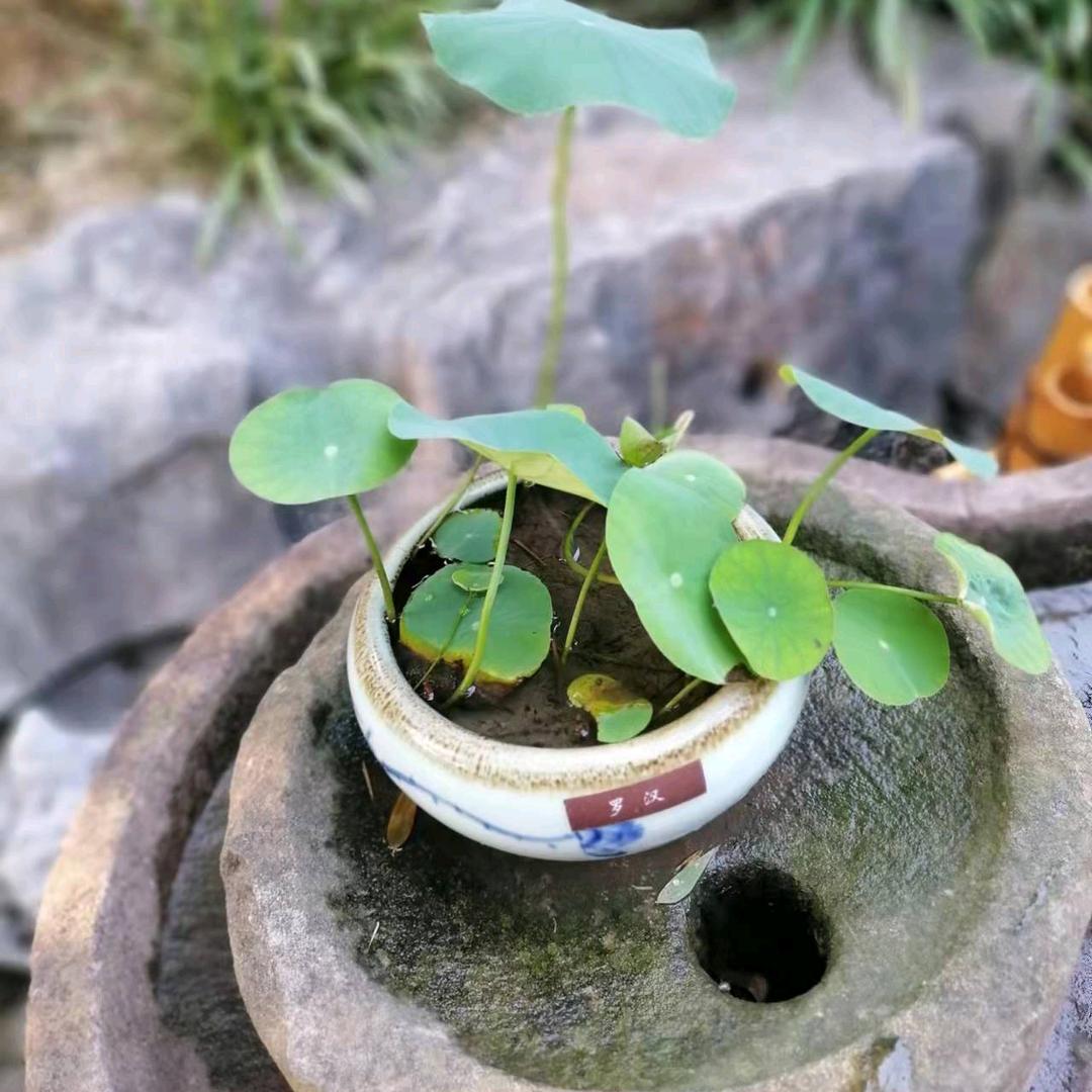 一缕阳光！