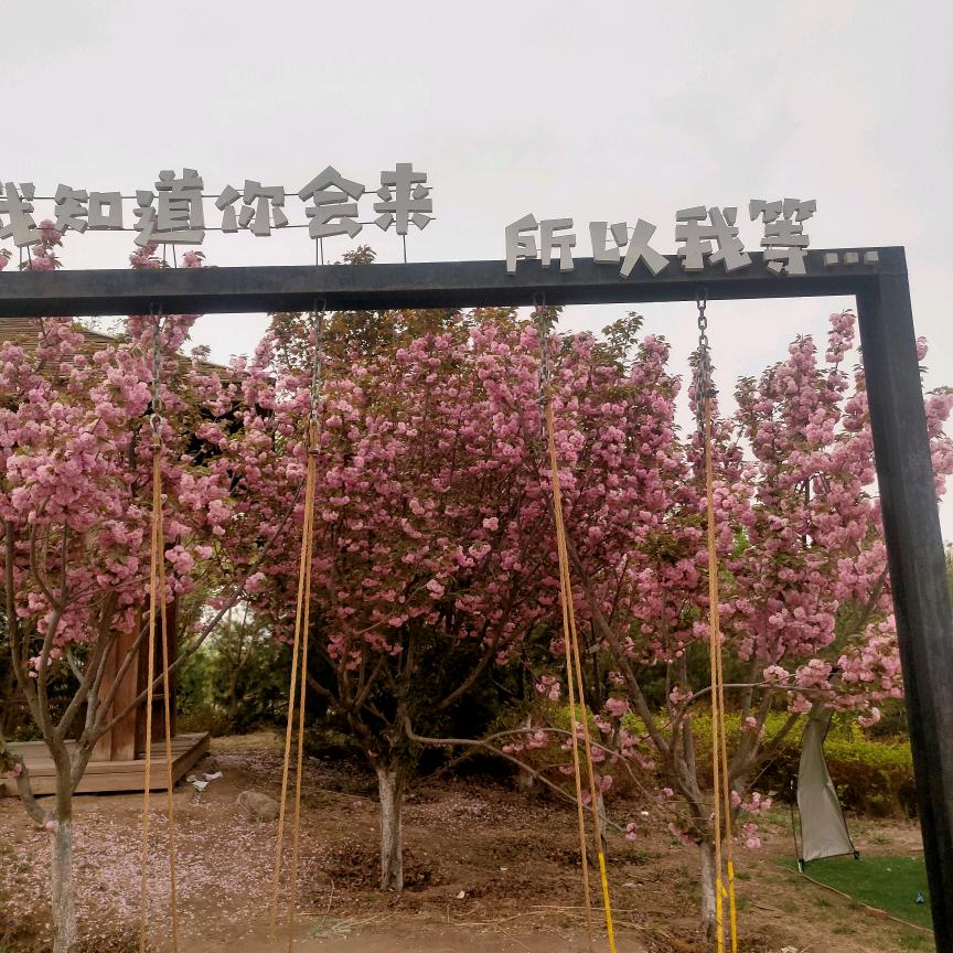 花痴哥哥