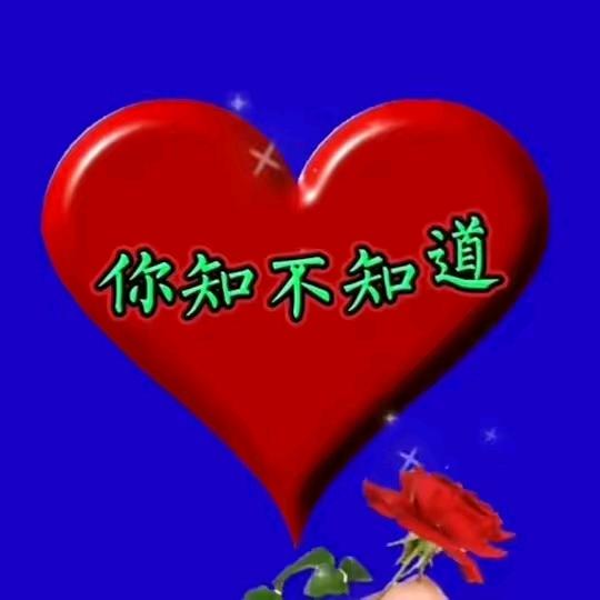 你真我就真，你假我转身，！，