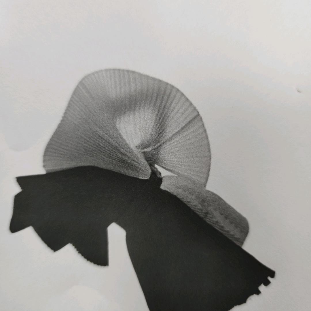 褶皱巴巴服饰