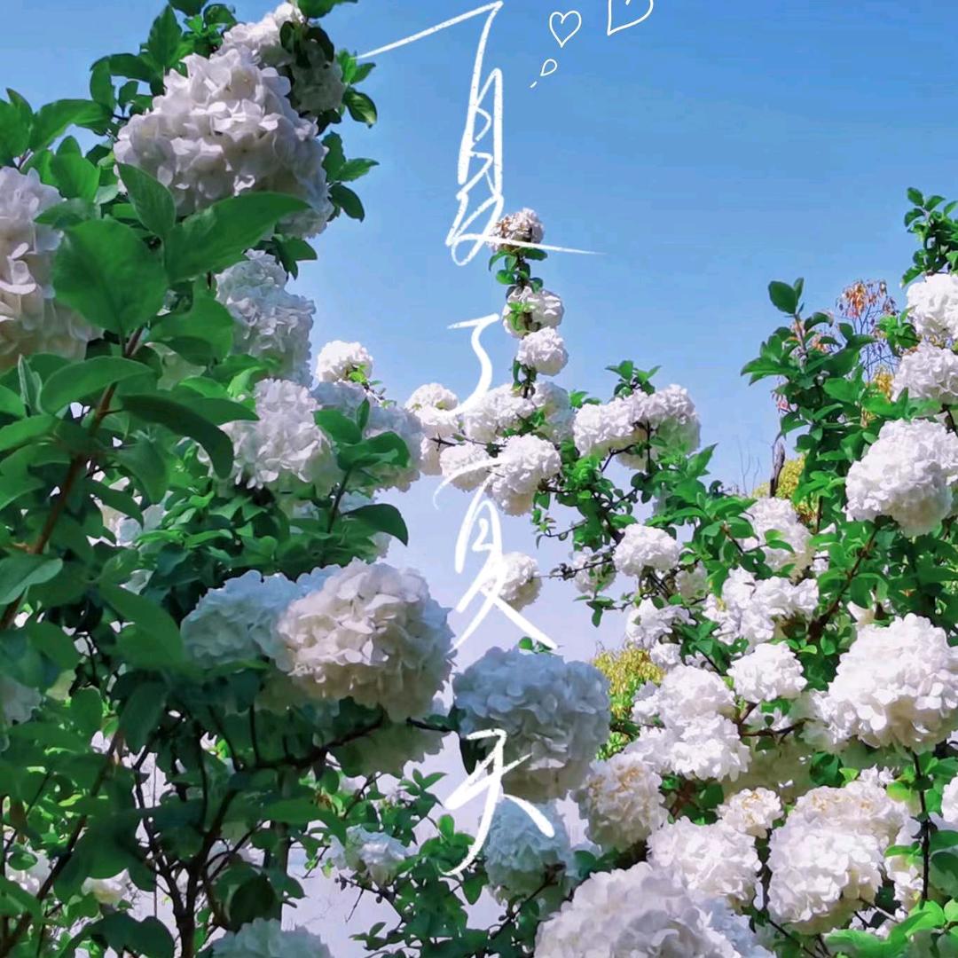 夏了🍓夏天