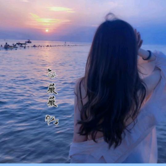 薇🌸🌻薇