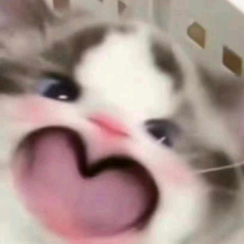 阡陌