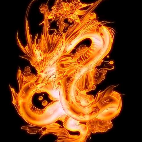 龙腾（助力寻亲）