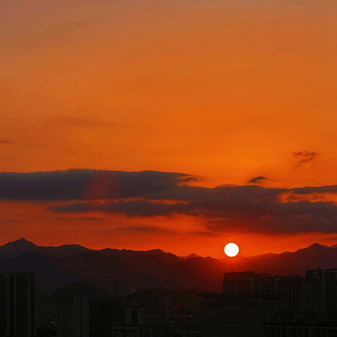 浪崽