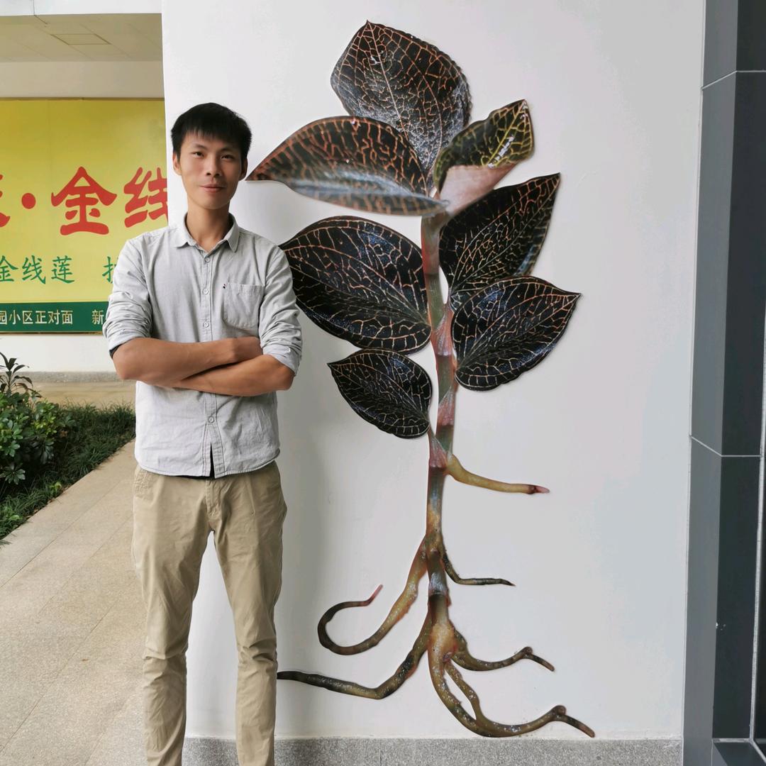 在佛山种金线莲的亮仔