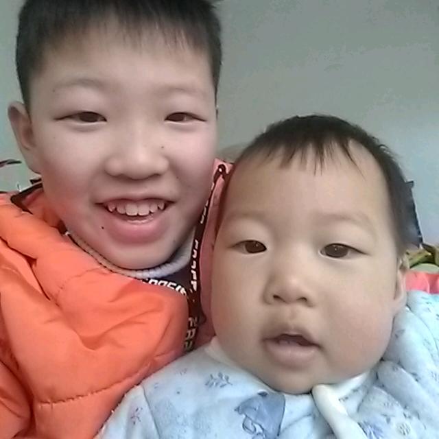 燕子