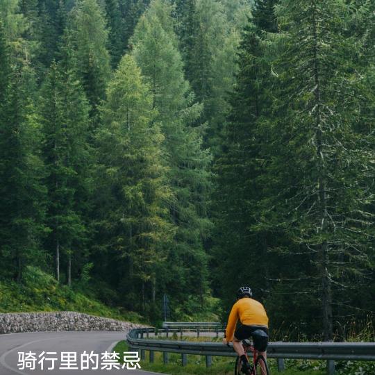 🍒但愿天长地久🍎