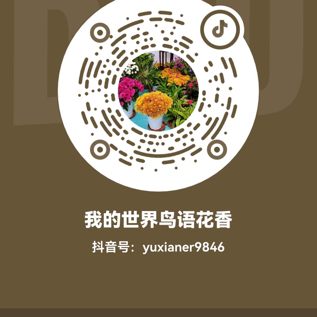 鑫雨苗（我的世界鸟语花香）