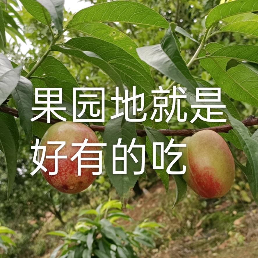 心悦诚服