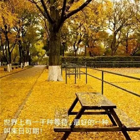 平度动物园