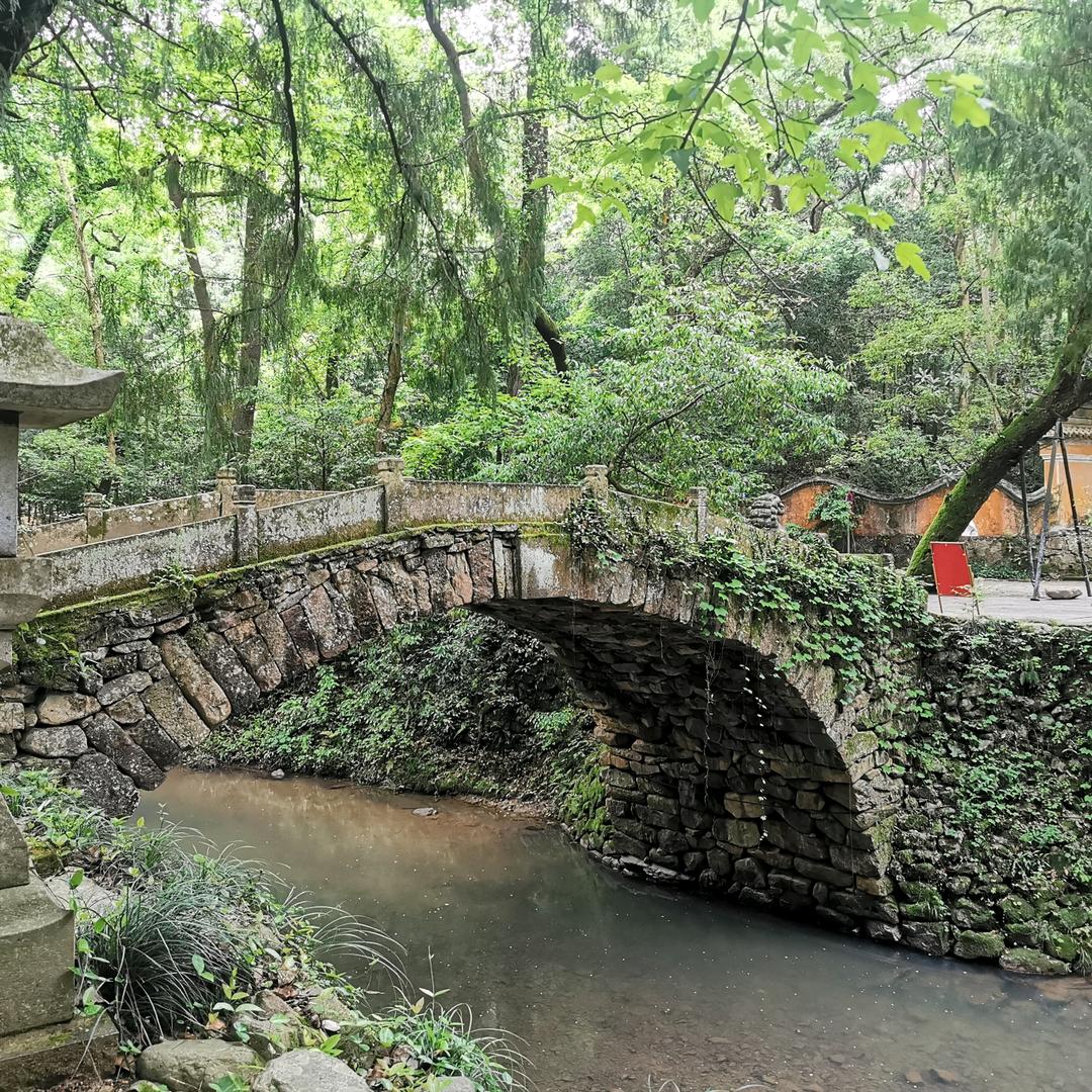 台州卖豹子的辉哥