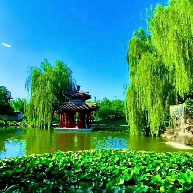 小海螺