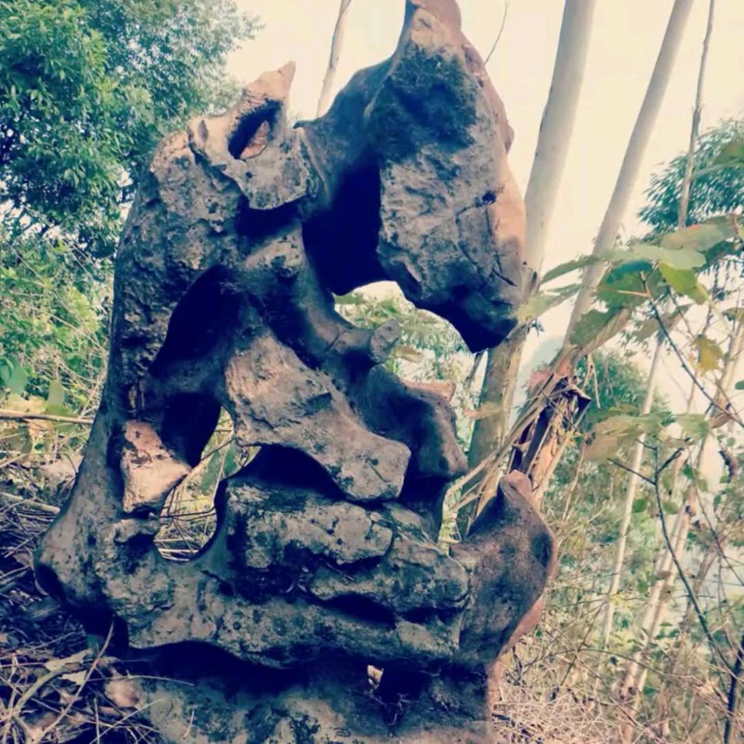 找，，，，，寻