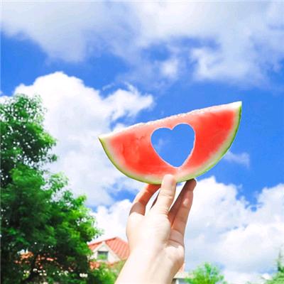 ♥小♥晨♥晨♥