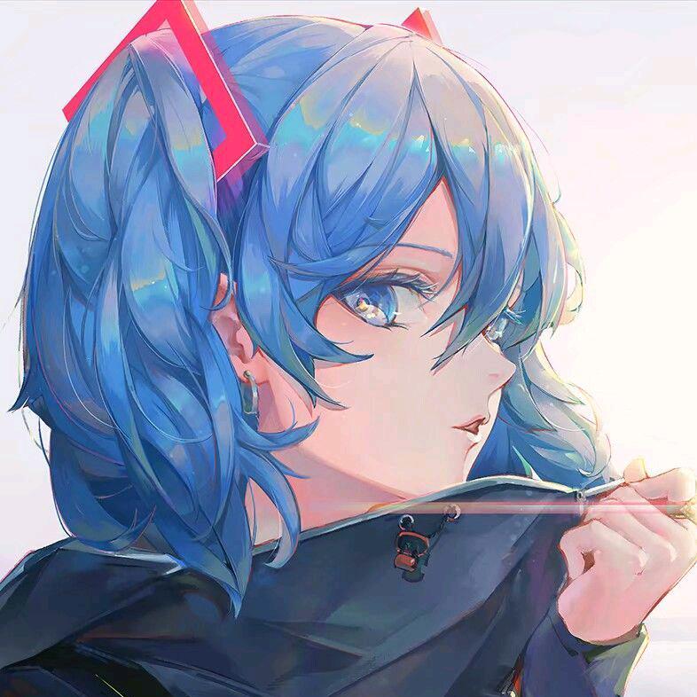 去问猫耳朵