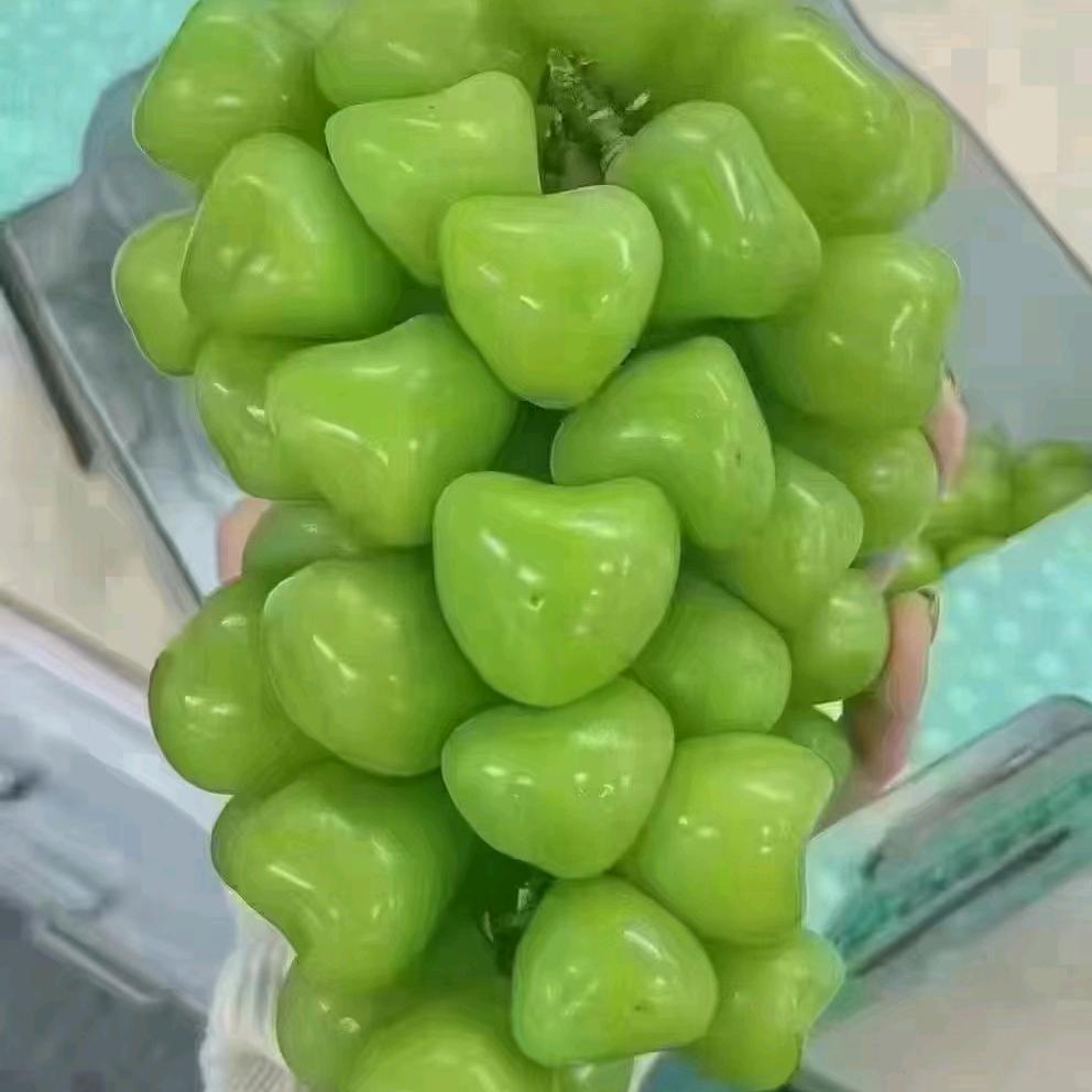 张S
