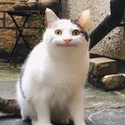 左彼