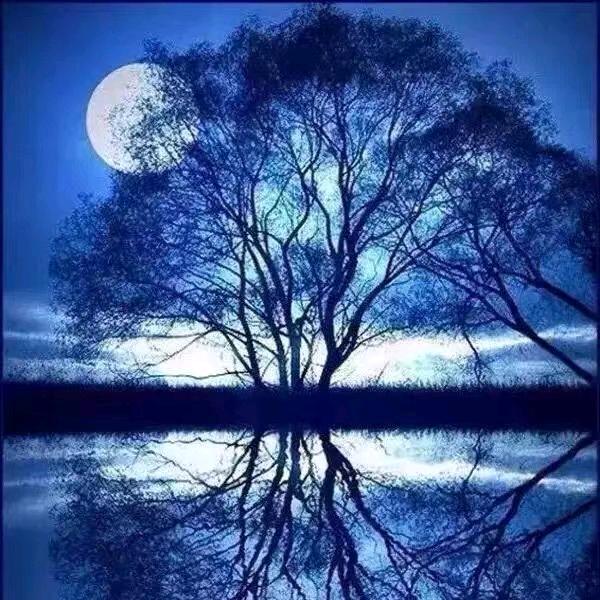 ^O^咖啡不加糖^O^