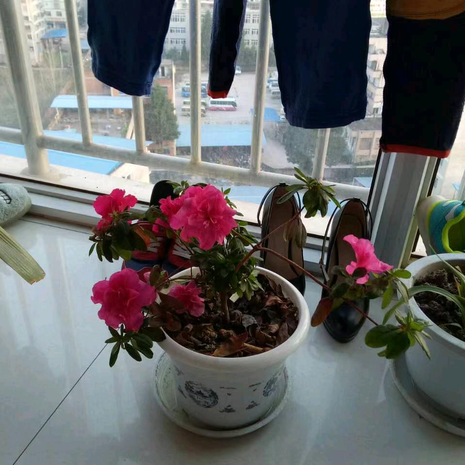熊姐