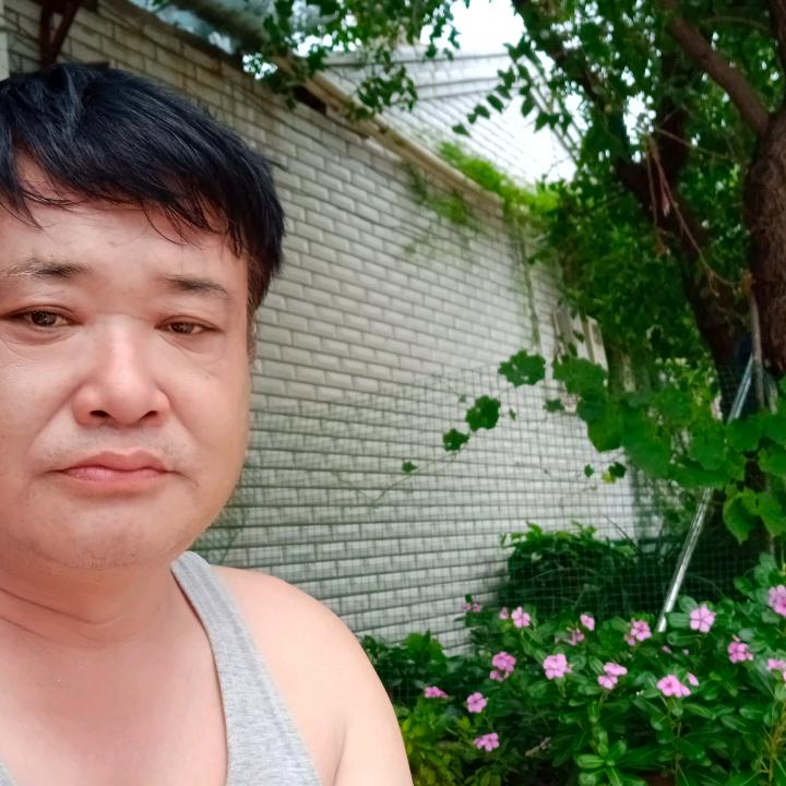 津义拉丝模具