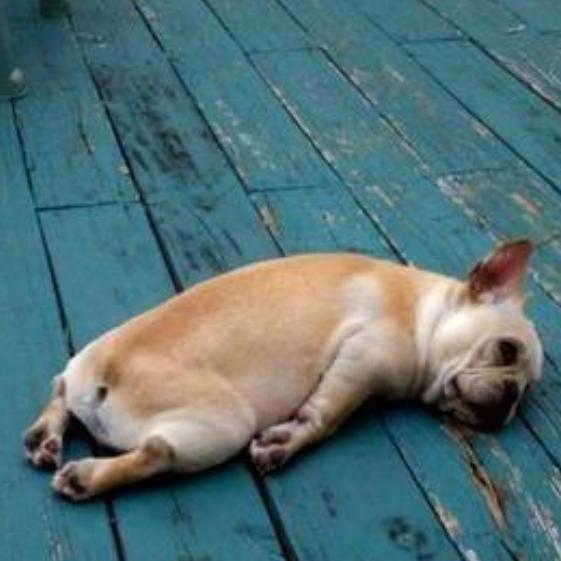 为什么都要取名字