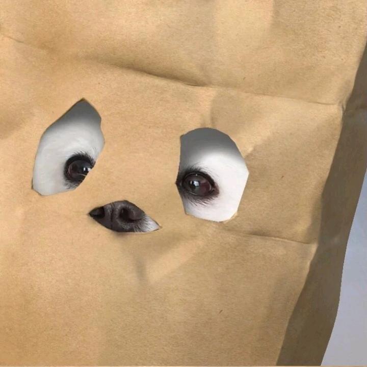 GE