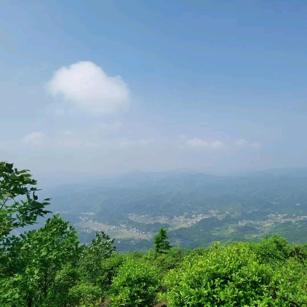 算