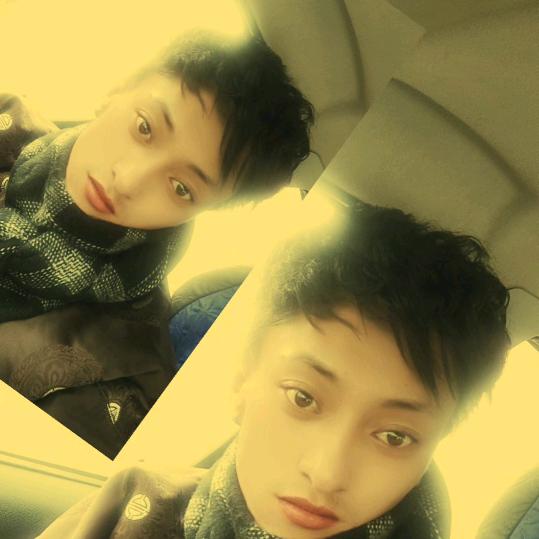 西藏安多❤️根桑平措 🔥🐕