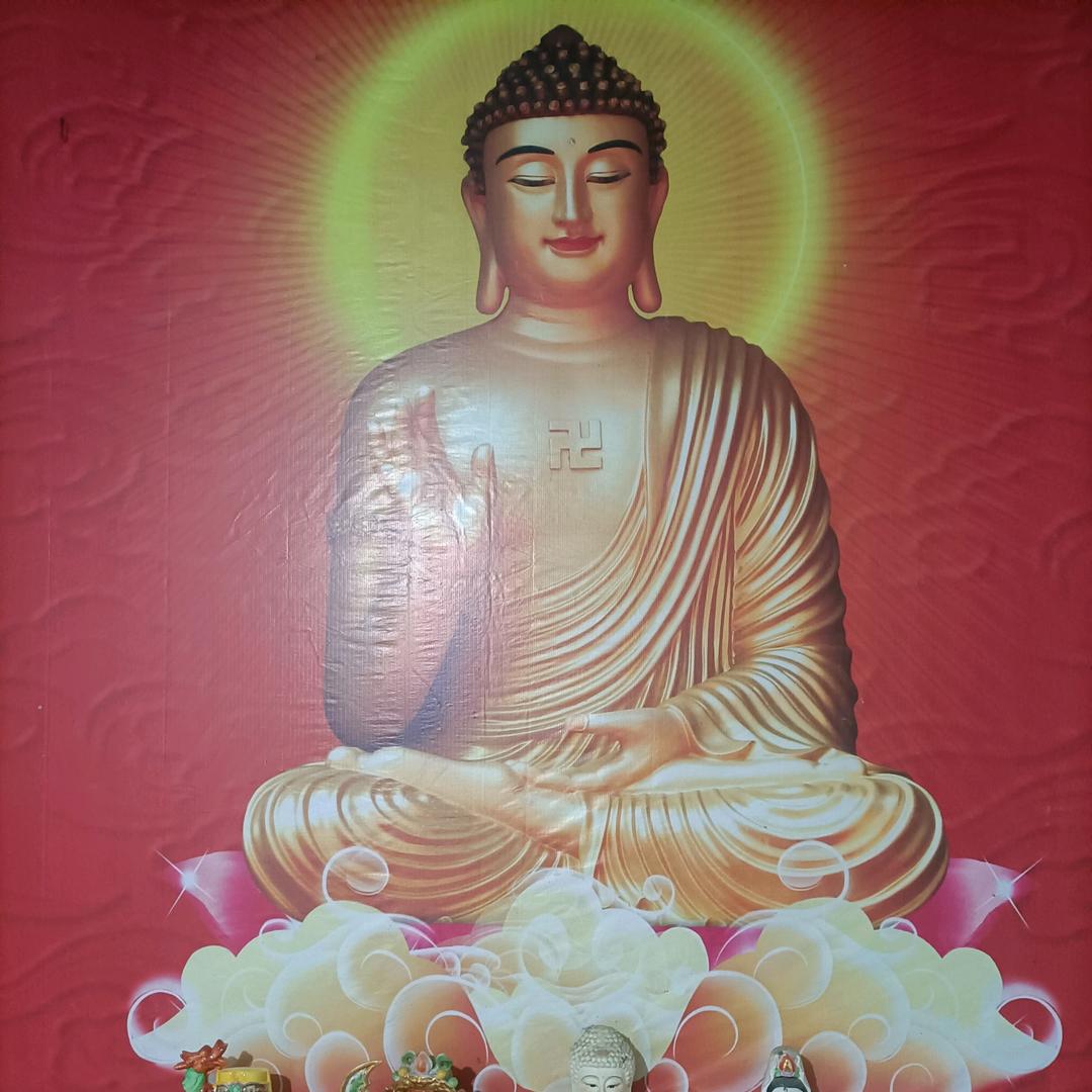 专业贴地砖！防水，做地平，砌砖！