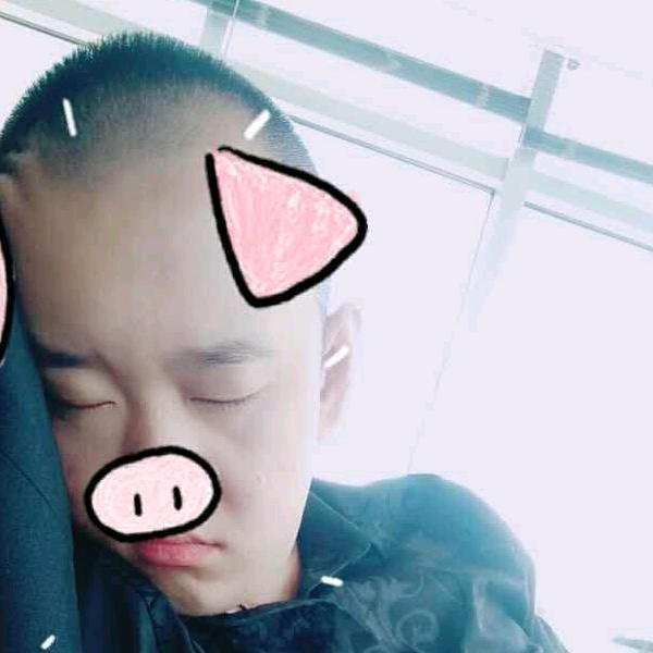 小曲来了