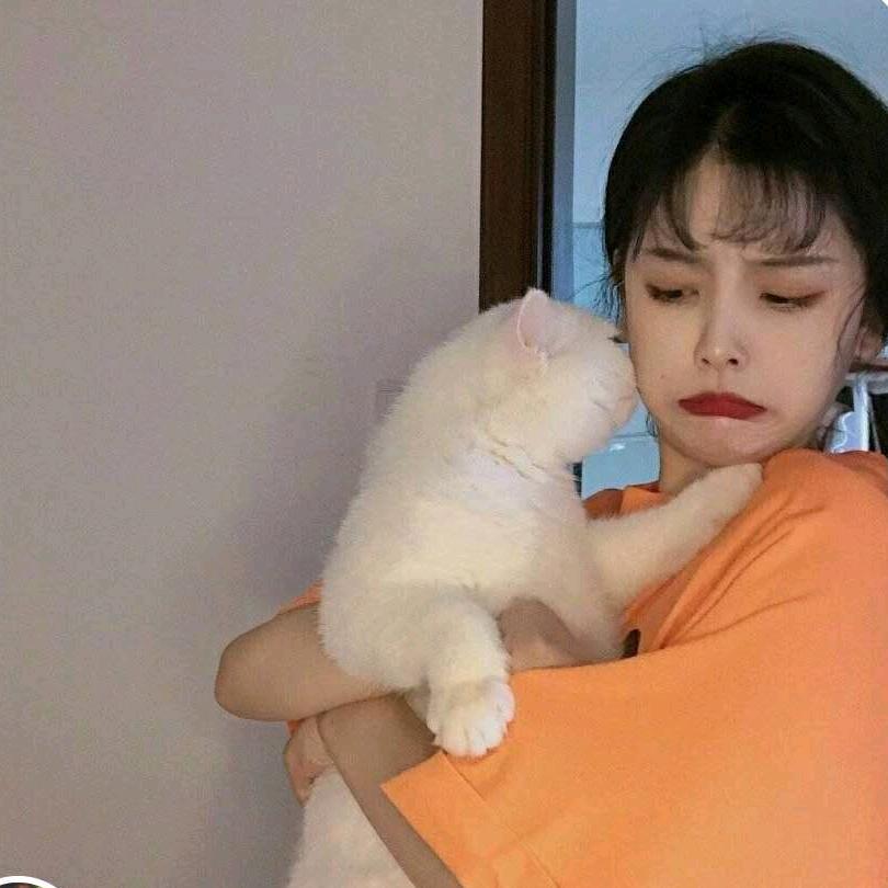 黛草堂延吉长白路店，河南百合小区