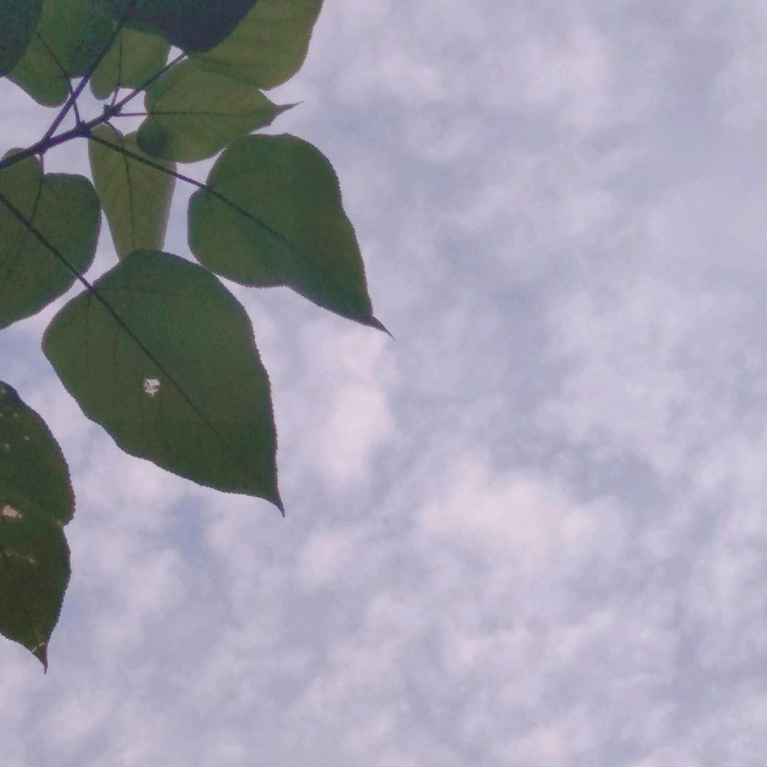 心太好