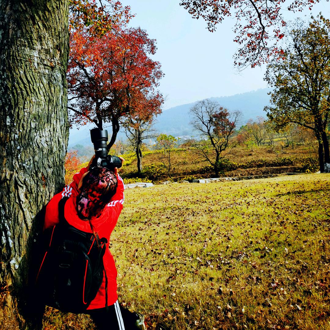 村长