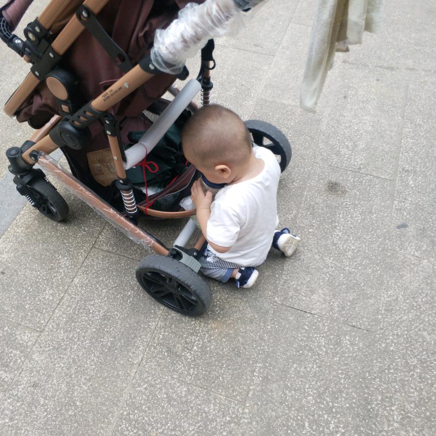 小树林