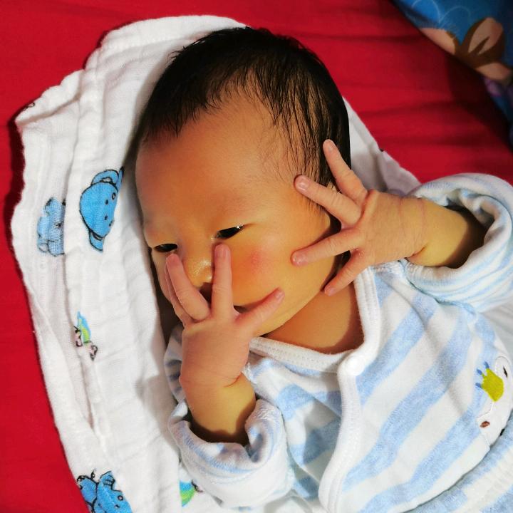 小科蜜