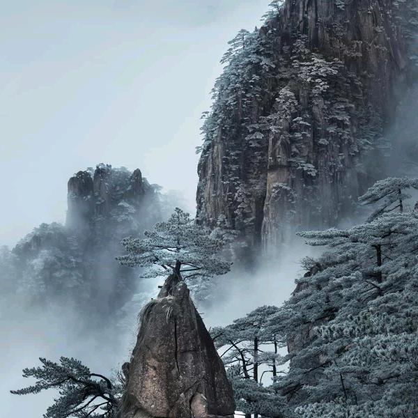 八戒不戒