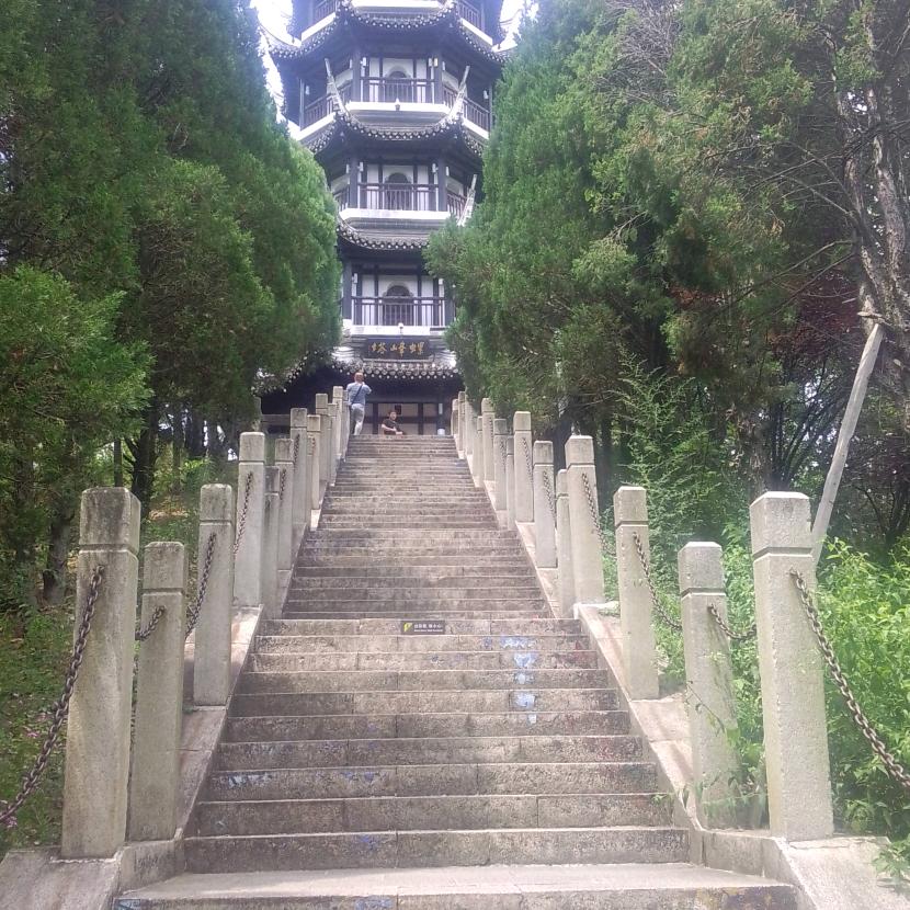 我心飞翔