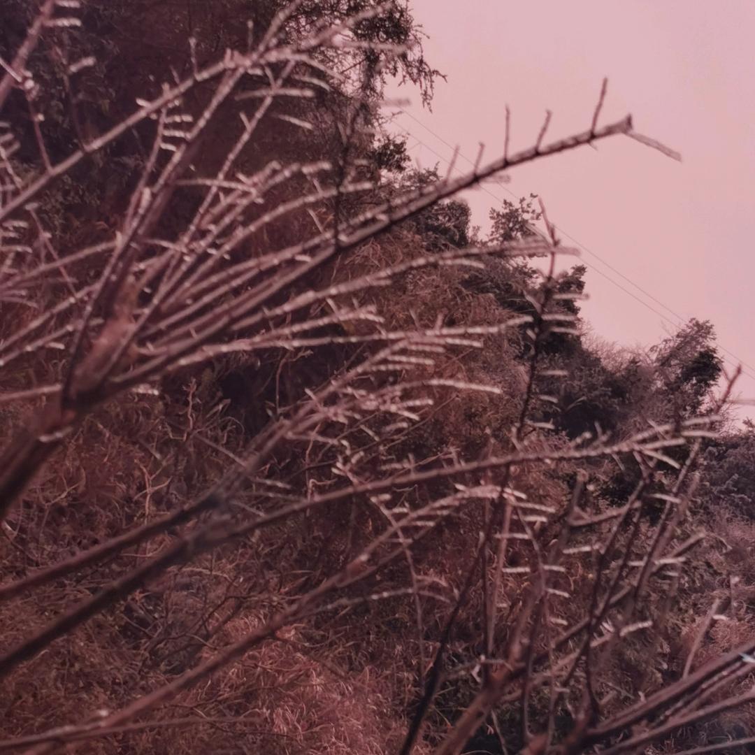 往事清零，爱恨随意