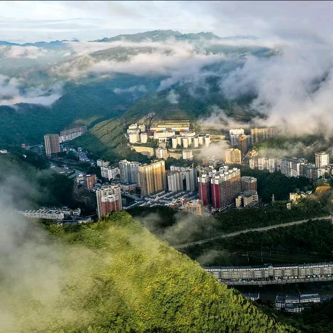 仙人掌不是花。