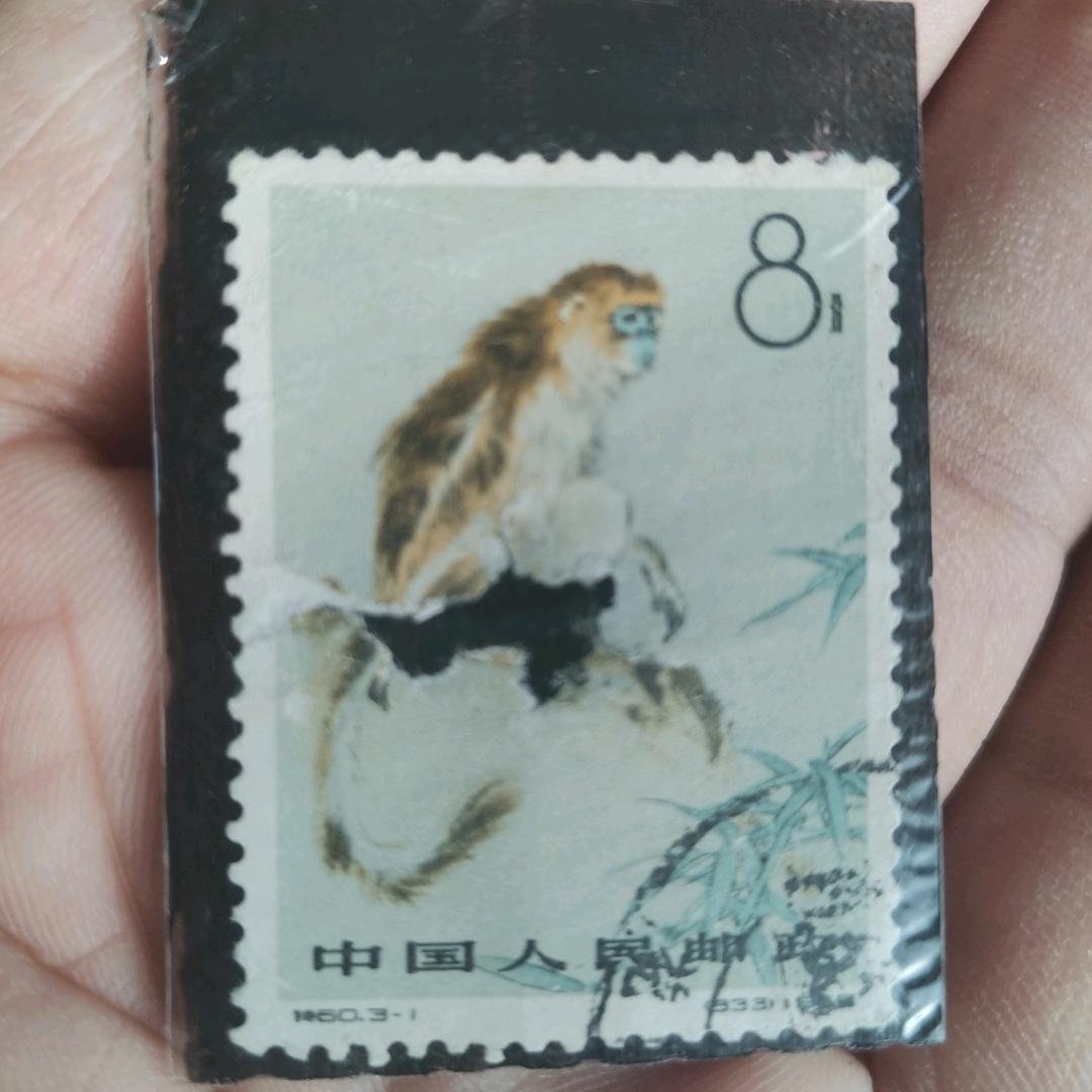 dyzpvtregvg7—军歌