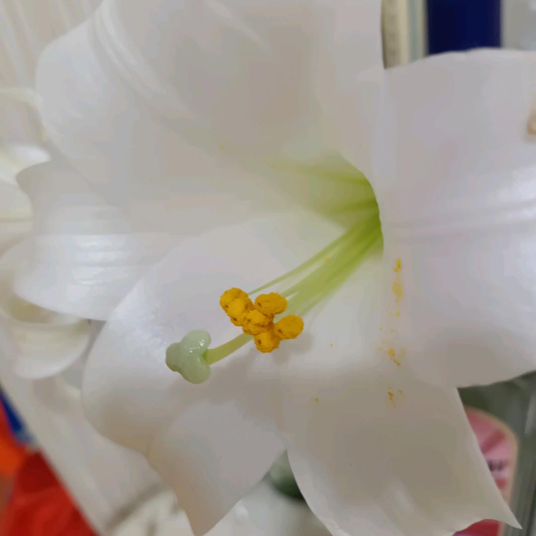 美悦美发