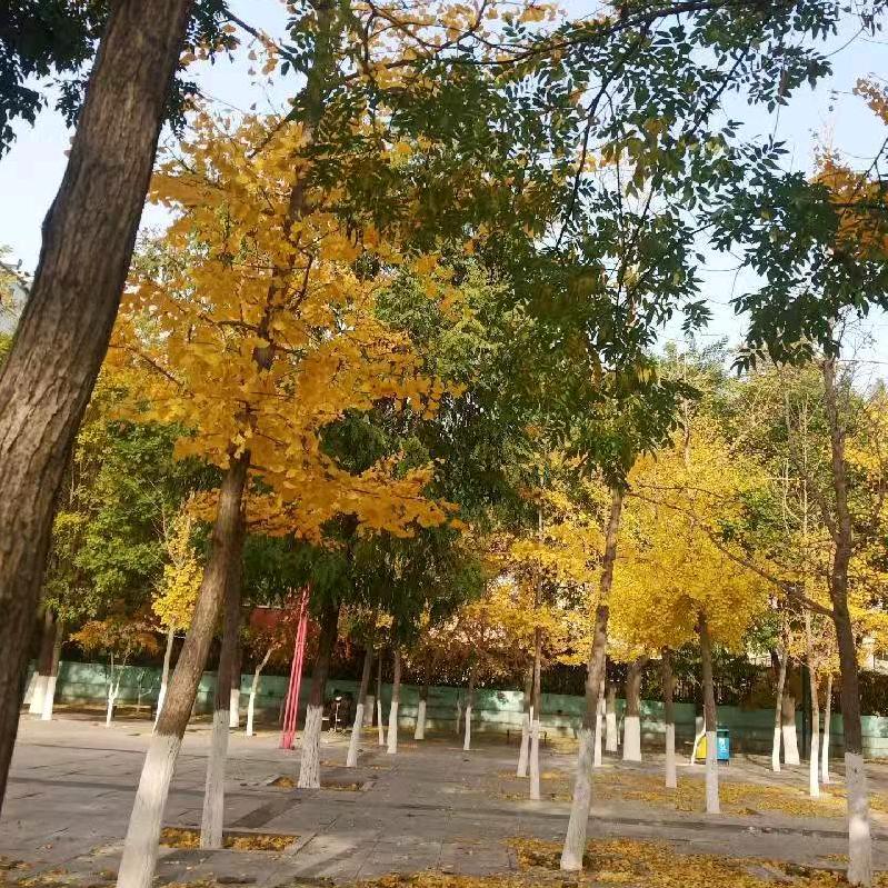 王先森