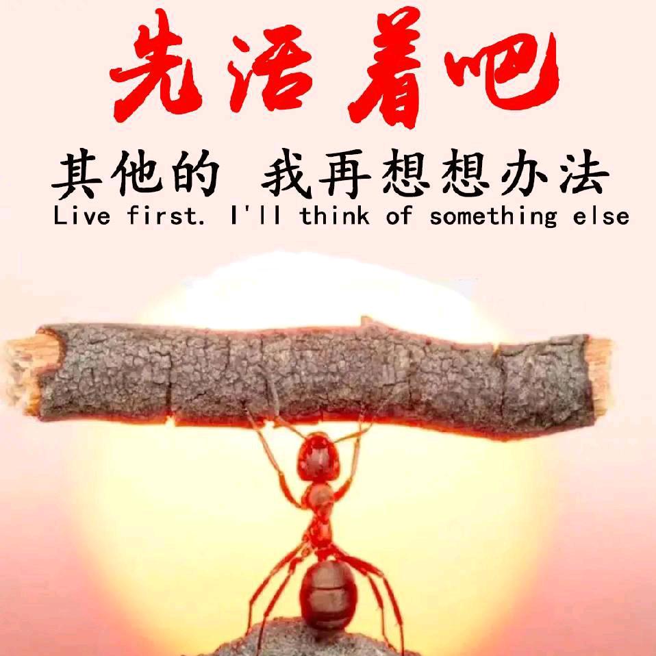 刘阳