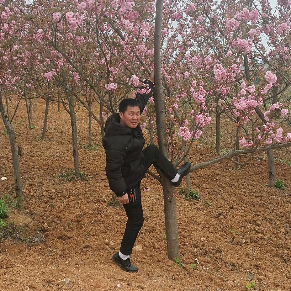 对爱的若言实现