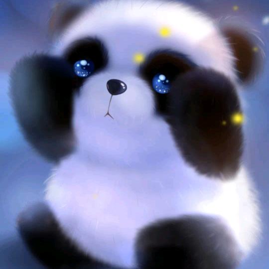 楠哥短剧