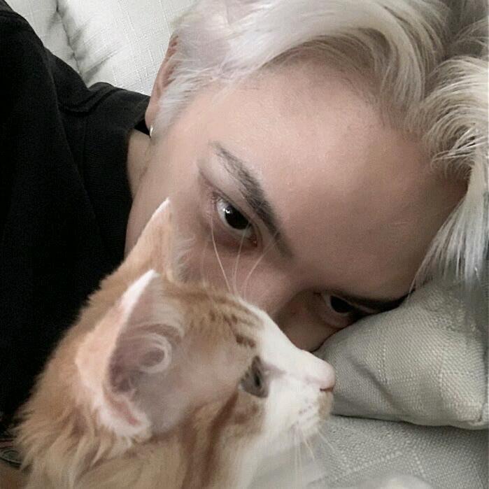 宇ㅤㅤ
