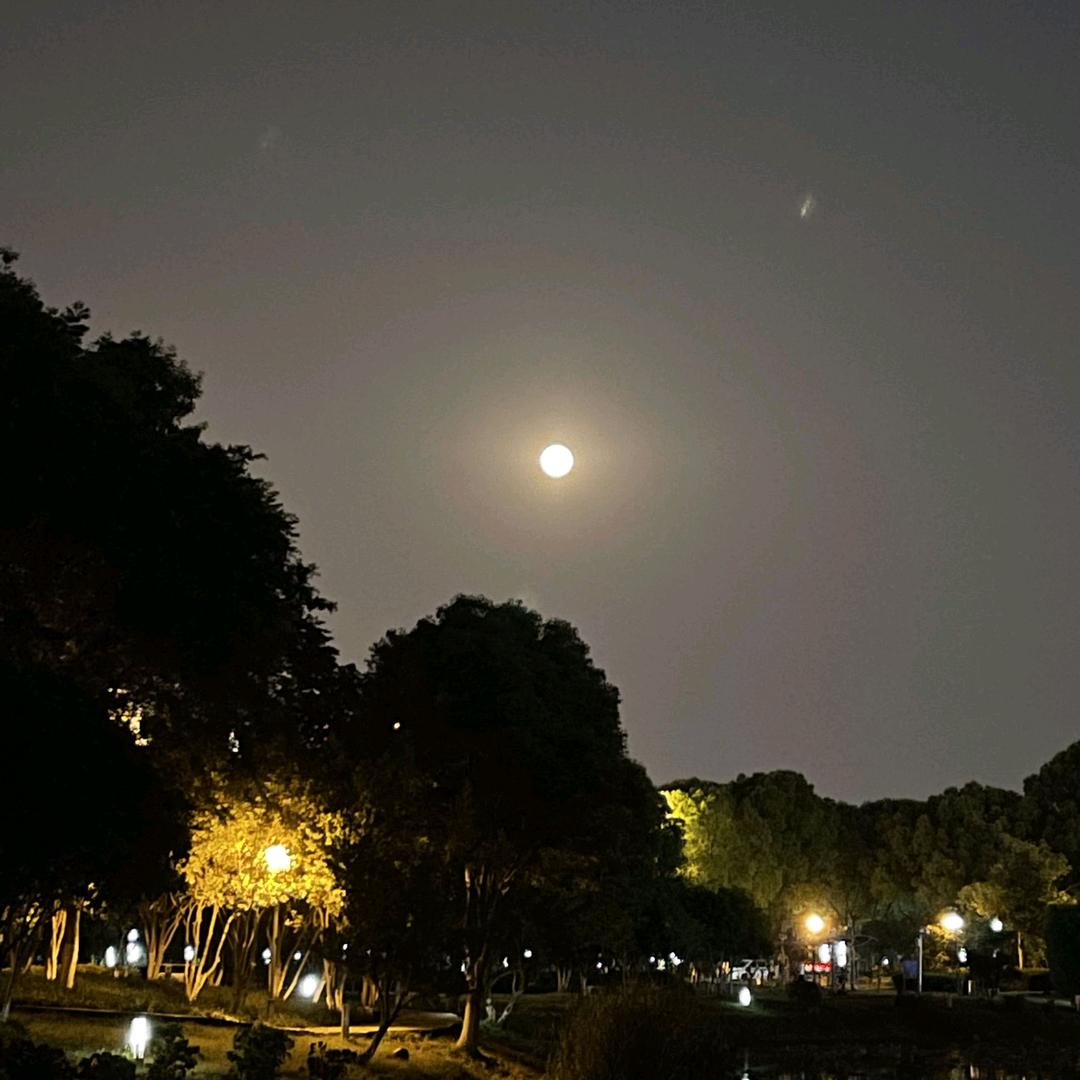 大宇G头像