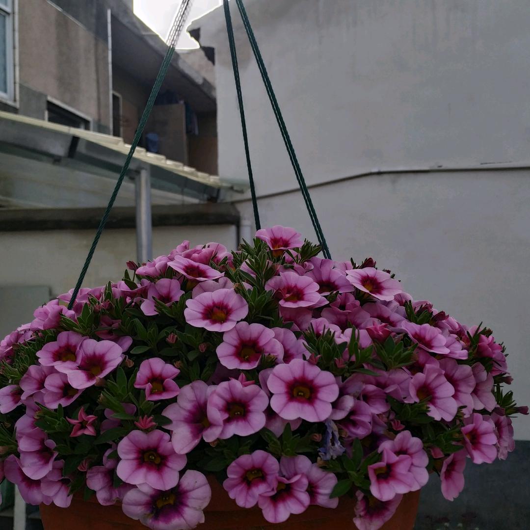 王氏殡葬礼仪服务